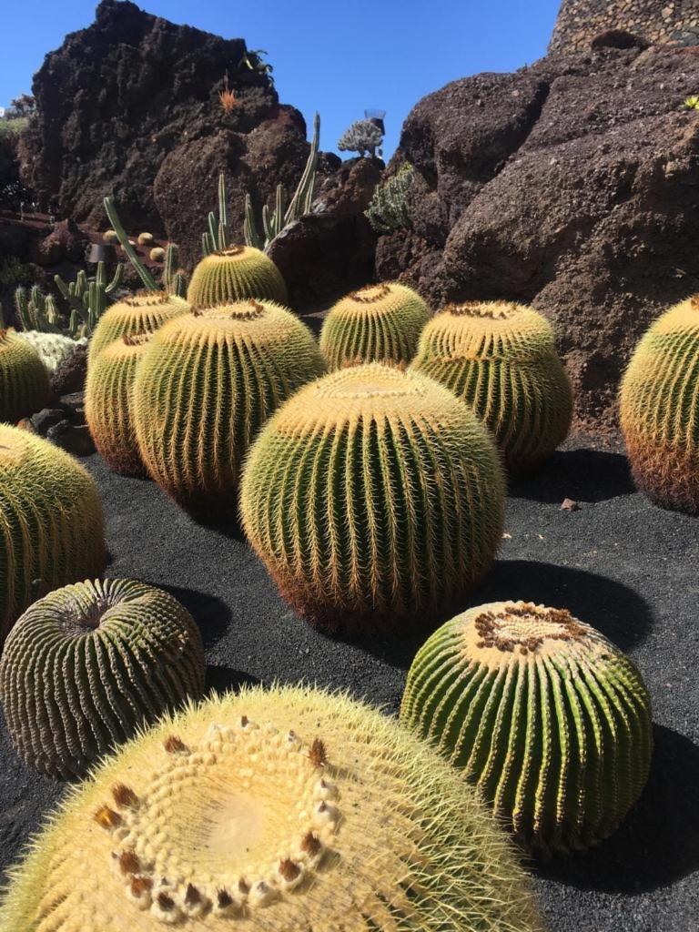 Buenavista Puerto del Carmen (Lanzarote) Exterior foto